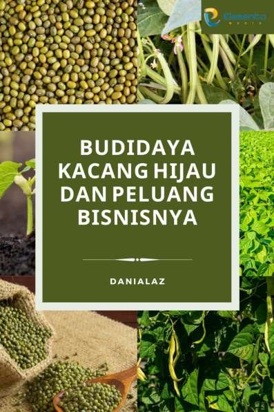 Budidaya Kacang Hijau dan Peluang Bisnisnya